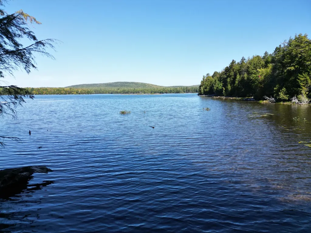 Waterfront on Caribou Pond