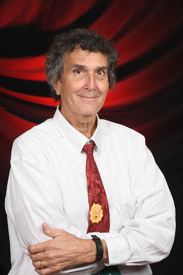 Mike Dull