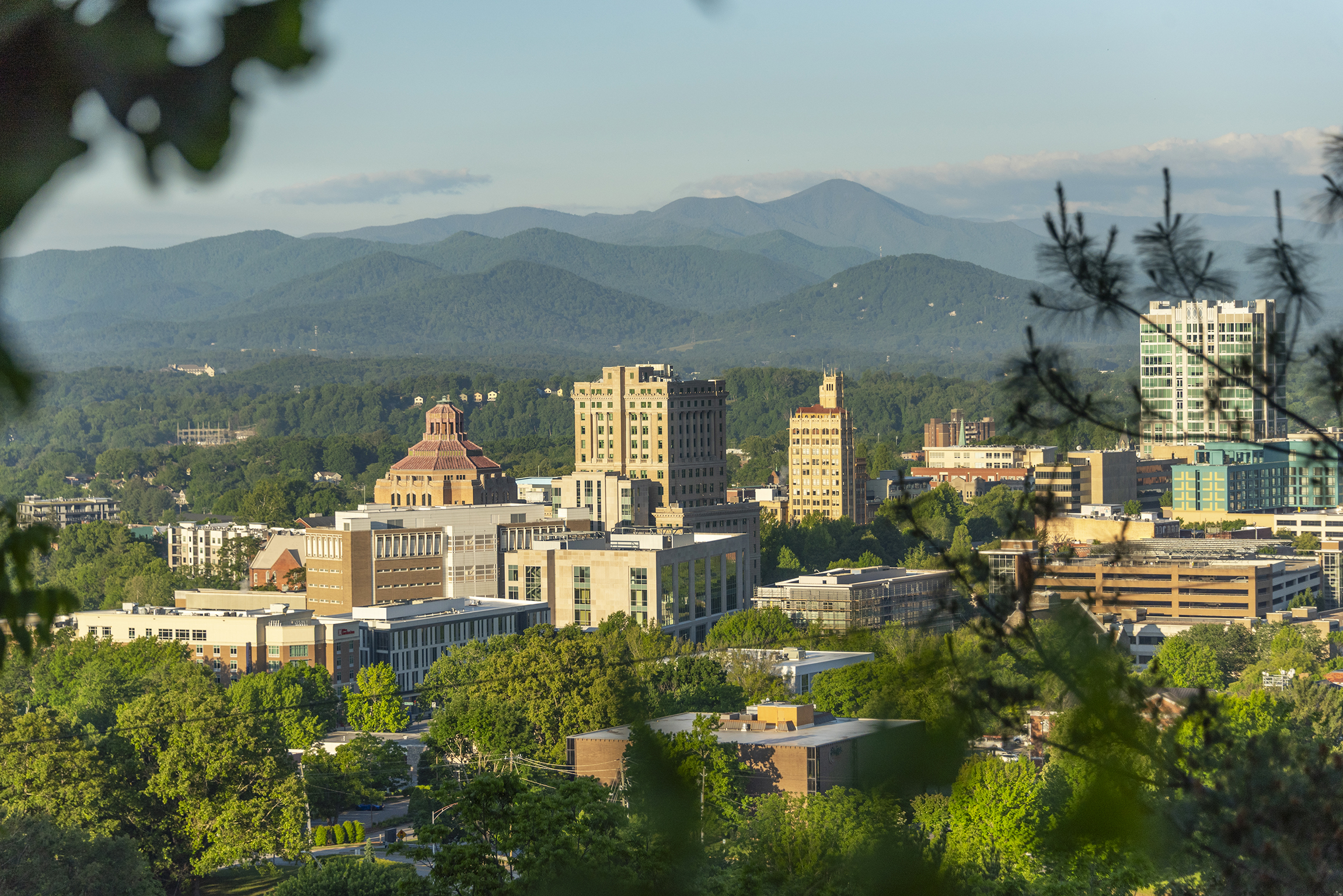Find Your Perfect Asheville Home - Search by Property Type