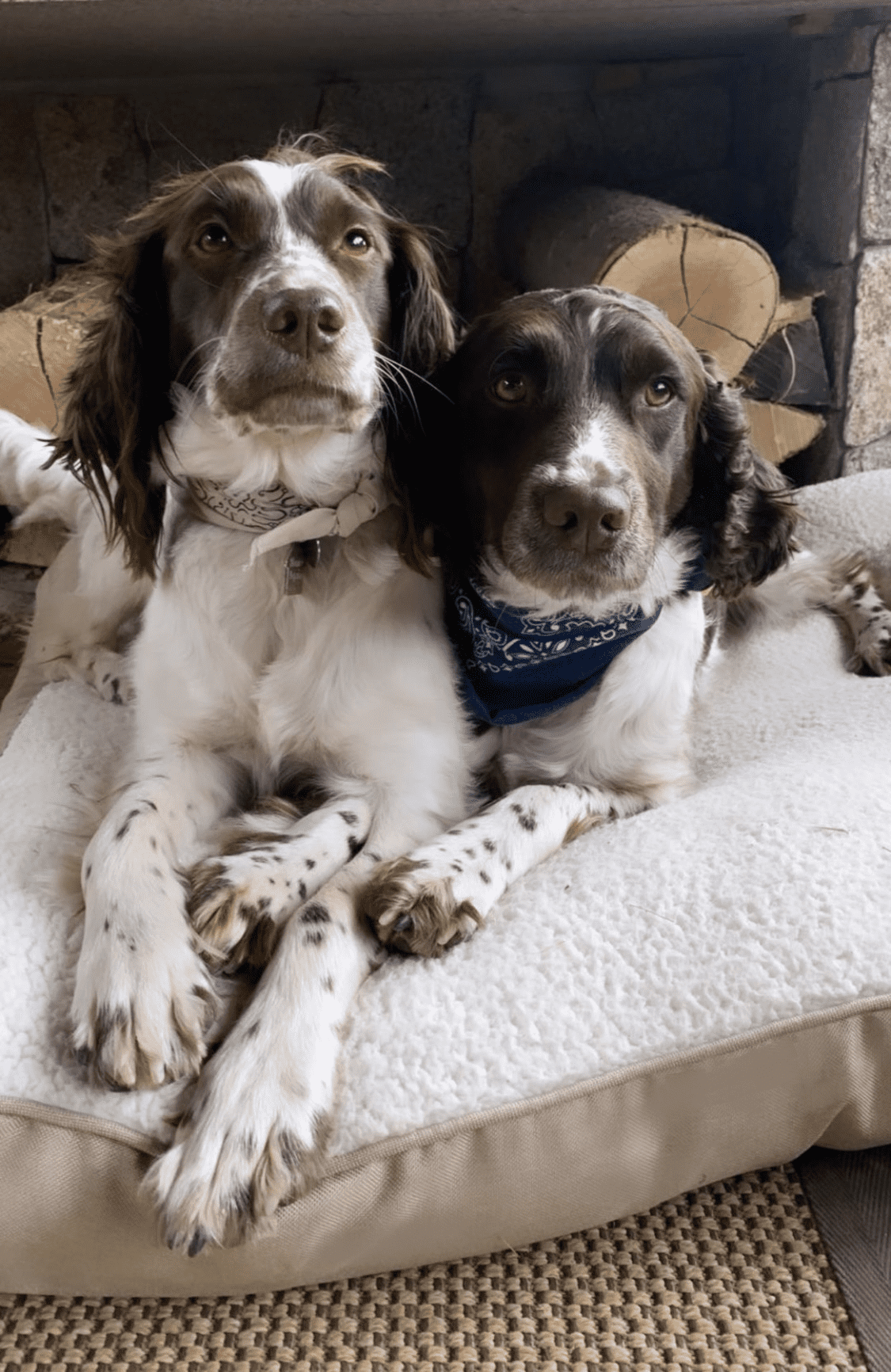 Izzy and Ruby Green