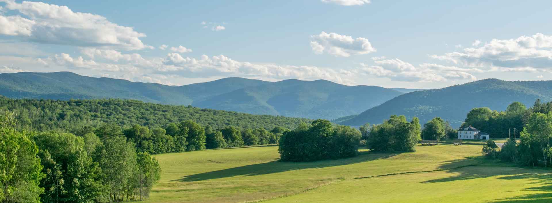 Where Your Business is Appreciated Perrott Realty