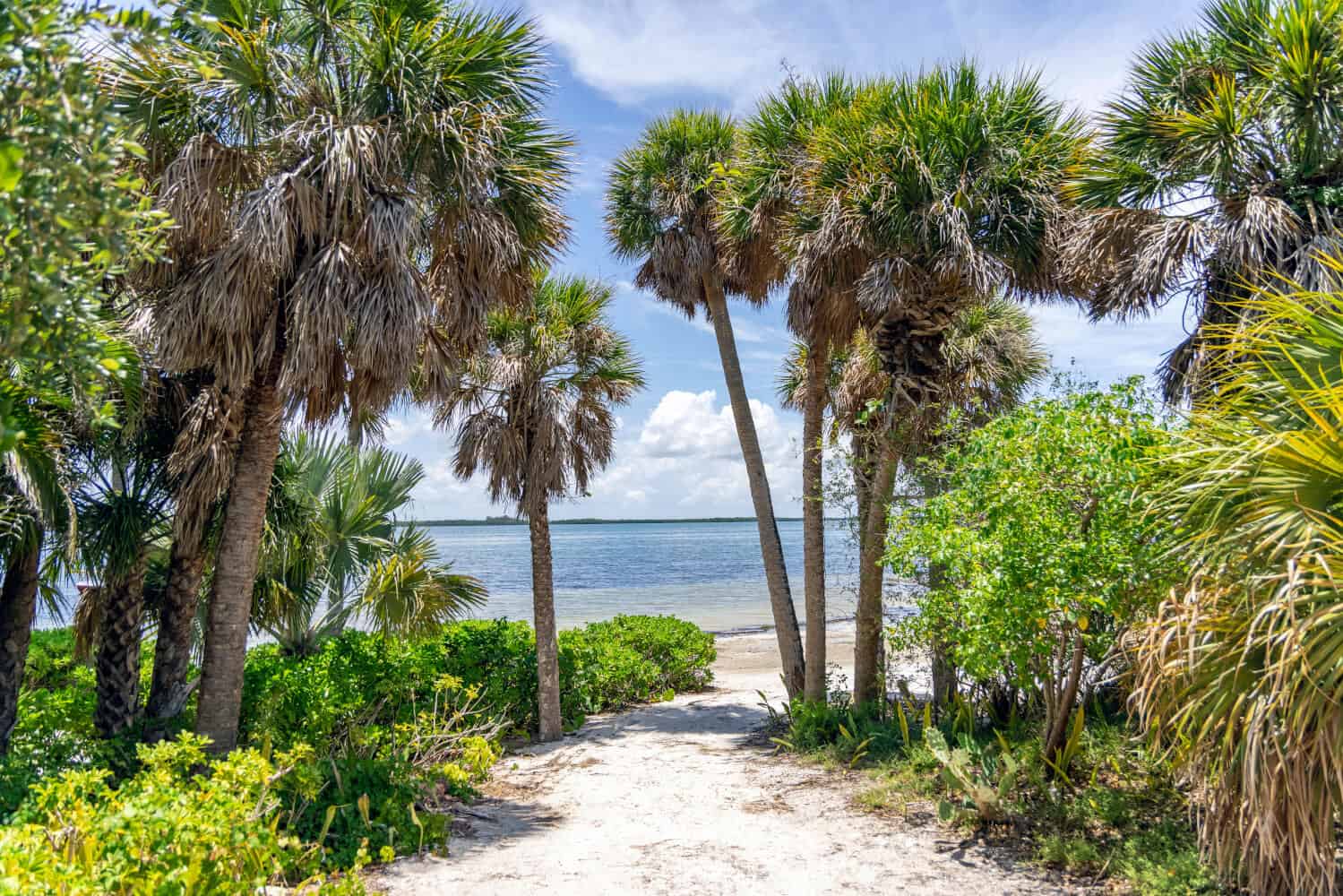 Captiva Beach