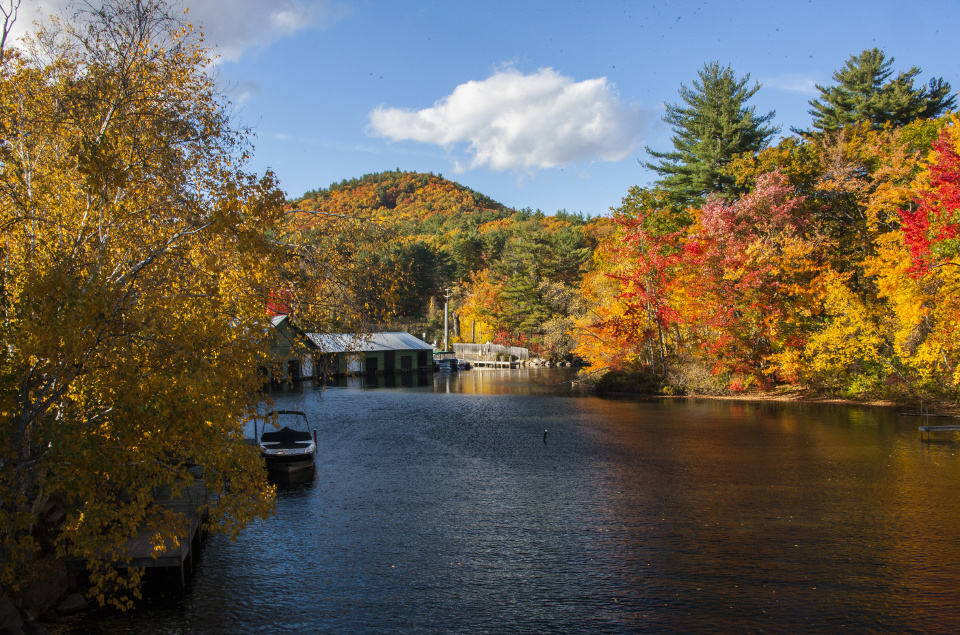 Squam Lake View