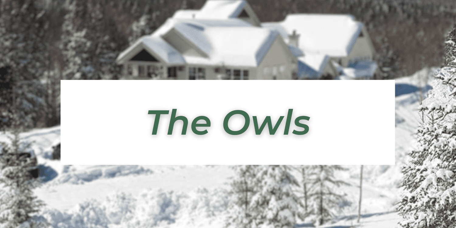 The Owls at Smuggs