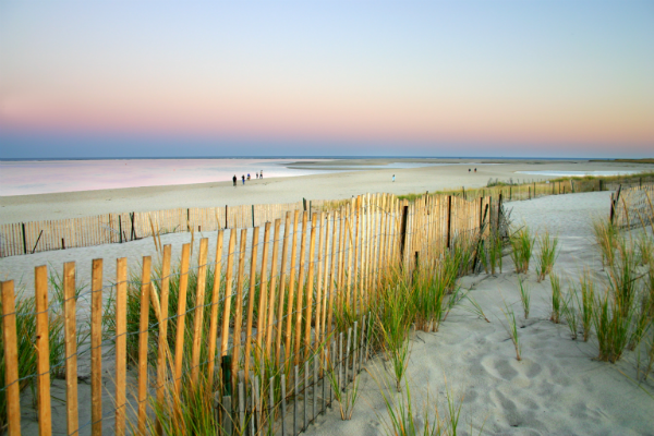 wooden plank fence along beach path in Cape Cod