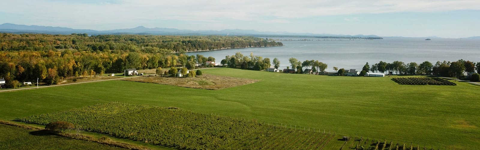 Recommended Searches