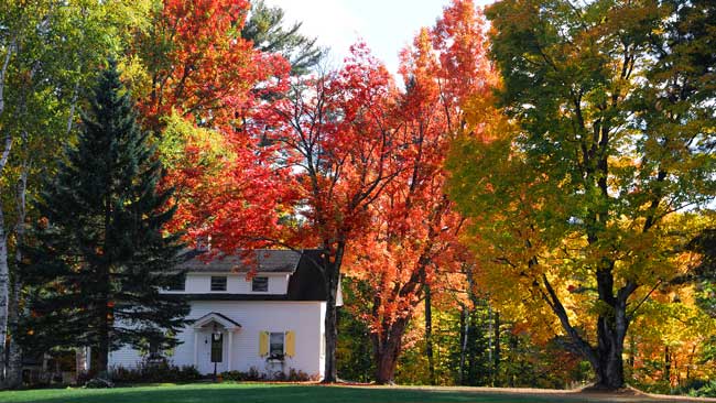 long term rental homes