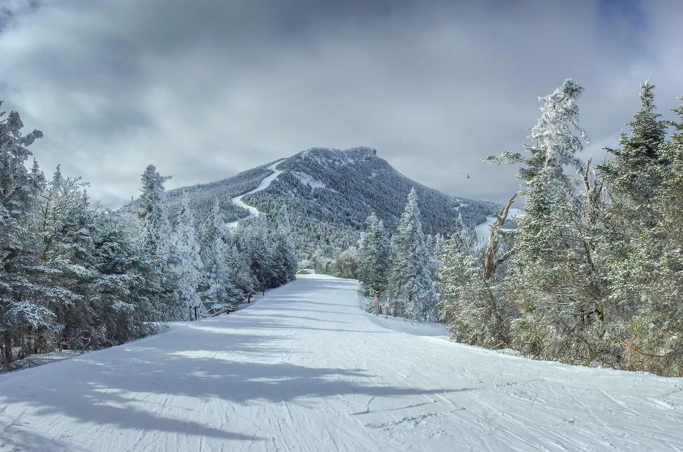White Mountain View