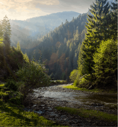 View of high green mountains