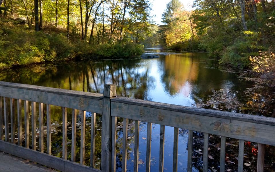 Sentry Real Estate The Leaders in CT Real Estate