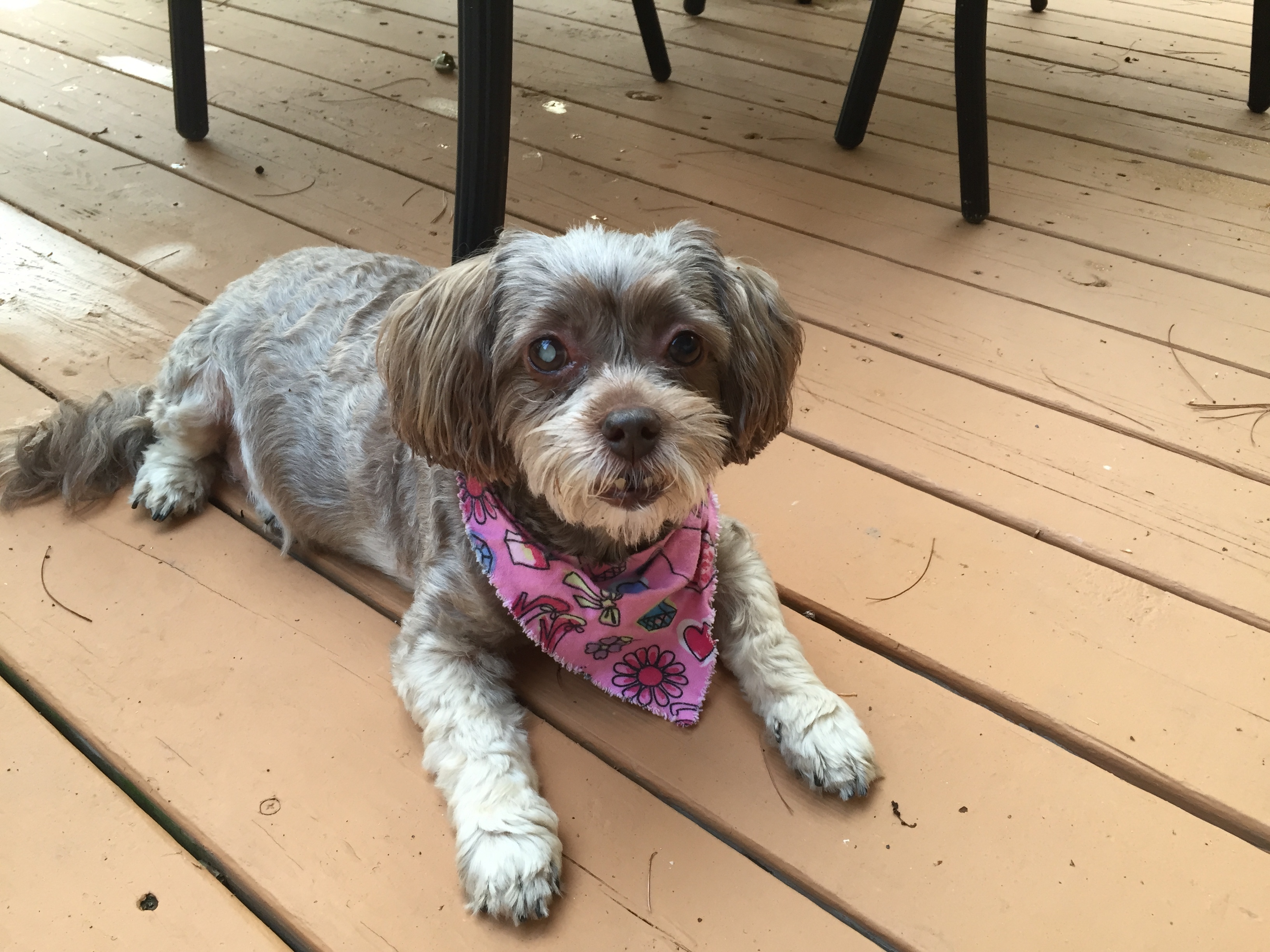 Zoe - Office Security